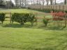 DSC01384.JPG